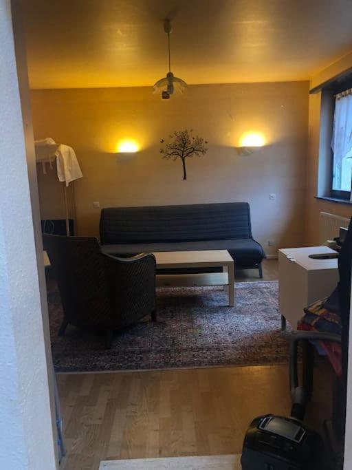 Maison De Village Pres De Colmar De 90 M2 Horbourg Exteriér fotografie